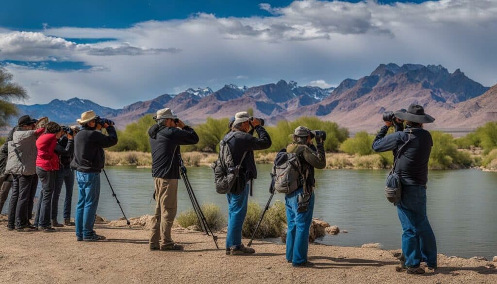 beginner birdwatching spots in Ehrenberg AZ