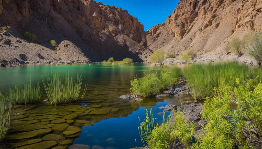 Hidden attractions in Quartzsite Hidden attractions in Quartzsite